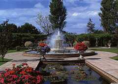 Stapeley Water Gardens