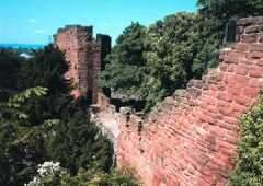 Chester Walls