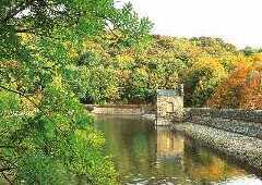 Linacre reservoirs