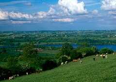 Ogston Reservoir