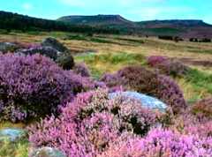 Longshaw Estate