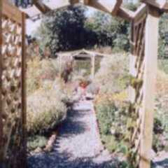 Lewton Hall Herbs