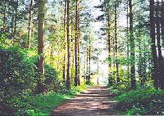 Queenswood Country Park