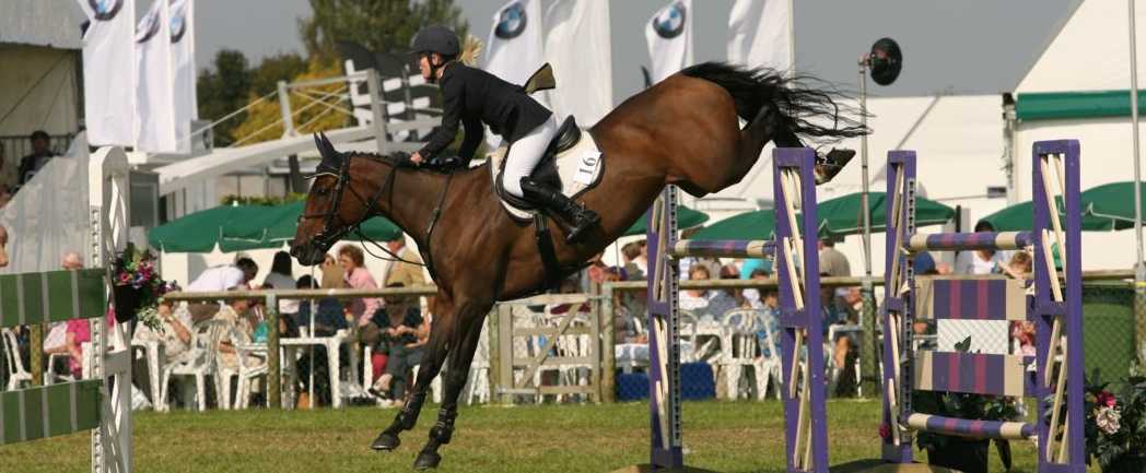 Show Jumping