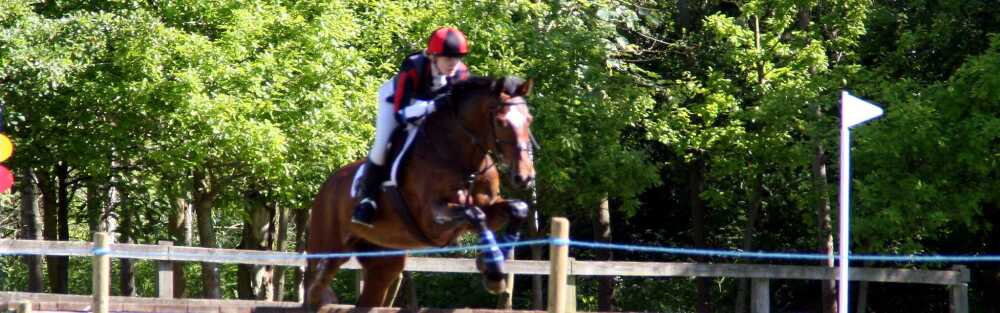 Show Jumping