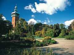 Carillon Tower & War Memorial