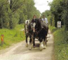 Memory Lane
                              Horse Driven Tours