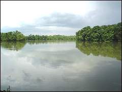 Willesley Lake