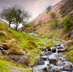 Carding Mill Valley