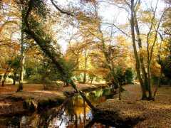 Coombes Valley Nature Reserve