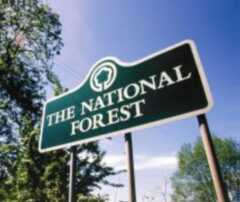 National Forest