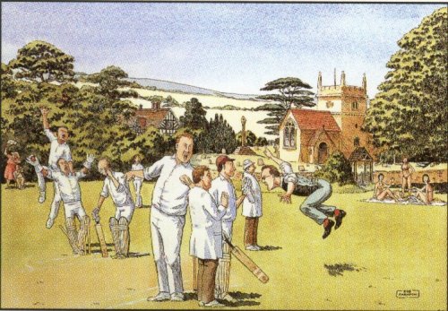 Cricket Match