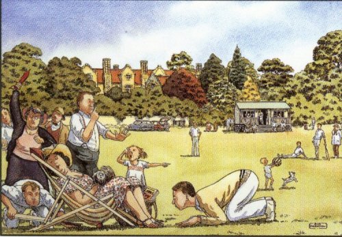 Cricket Match