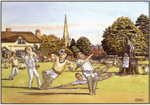 Cricket Match