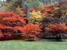 Westonbirt Arbetorium