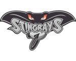 Hull Stingrays