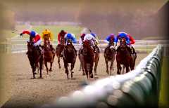 Lingfield Racetrack