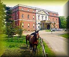 Royal
                    Surrey Museum