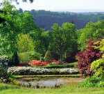 High Beeches Gardens