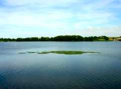 Kings mill
                                Reservoir