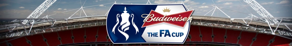 The
                          FA Cup